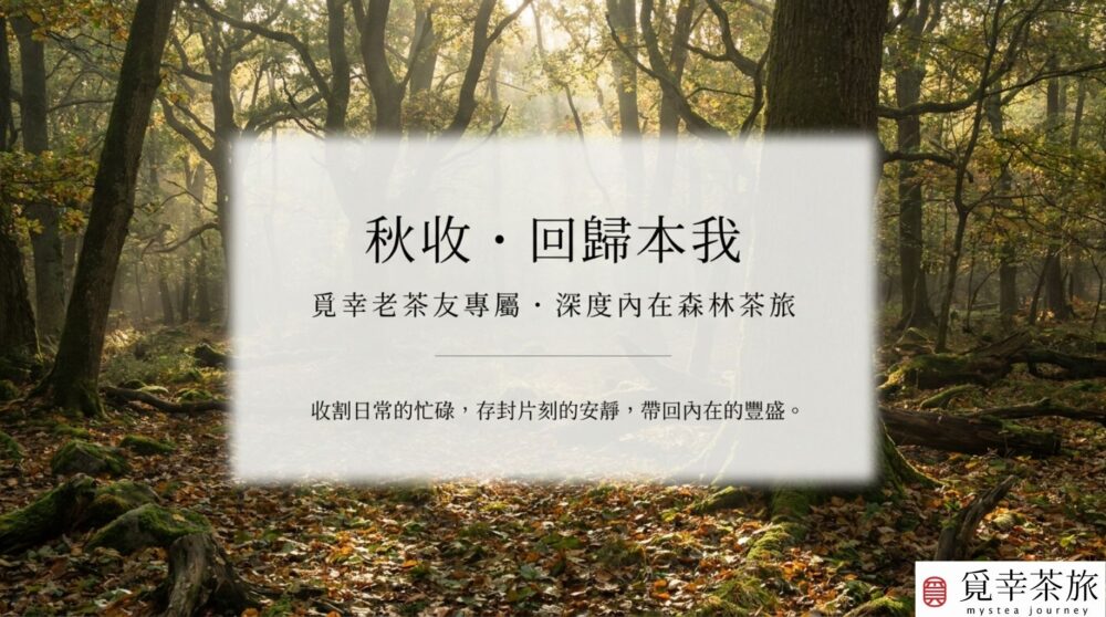 1 回家團:秋收茶旅|回歸本我森林 Retreat