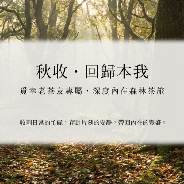 回家團：秋收茶旅｜回歸本我森林 Retreat