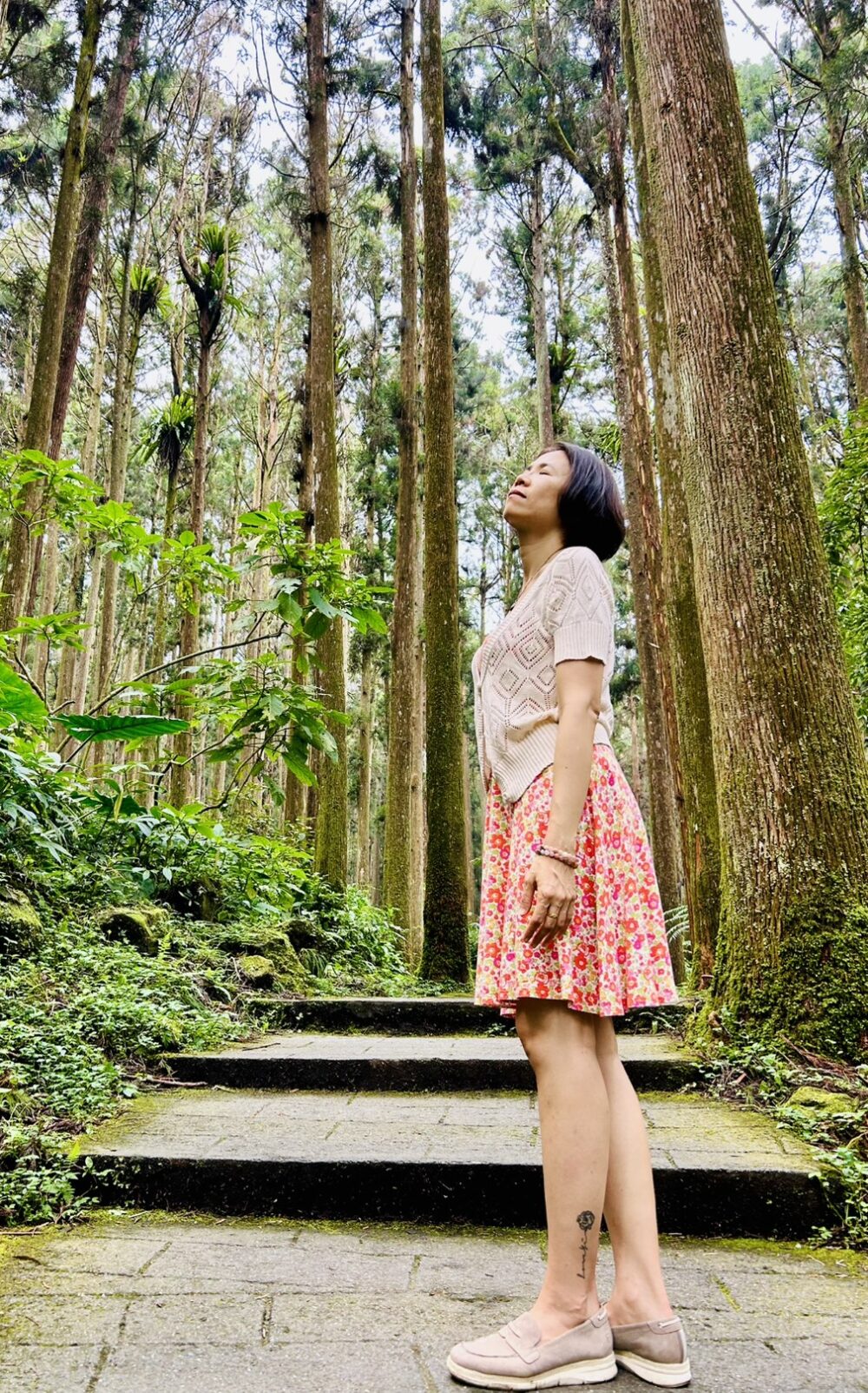 祕境戶外小茶旅