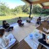 秋旅活動集錦09 回家團:秋收茶旅|回歸本我森林 Retreat