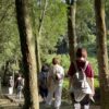 秋旅活動集錦10 回家團:秋收茶旅|回歸本我森林 Retreat