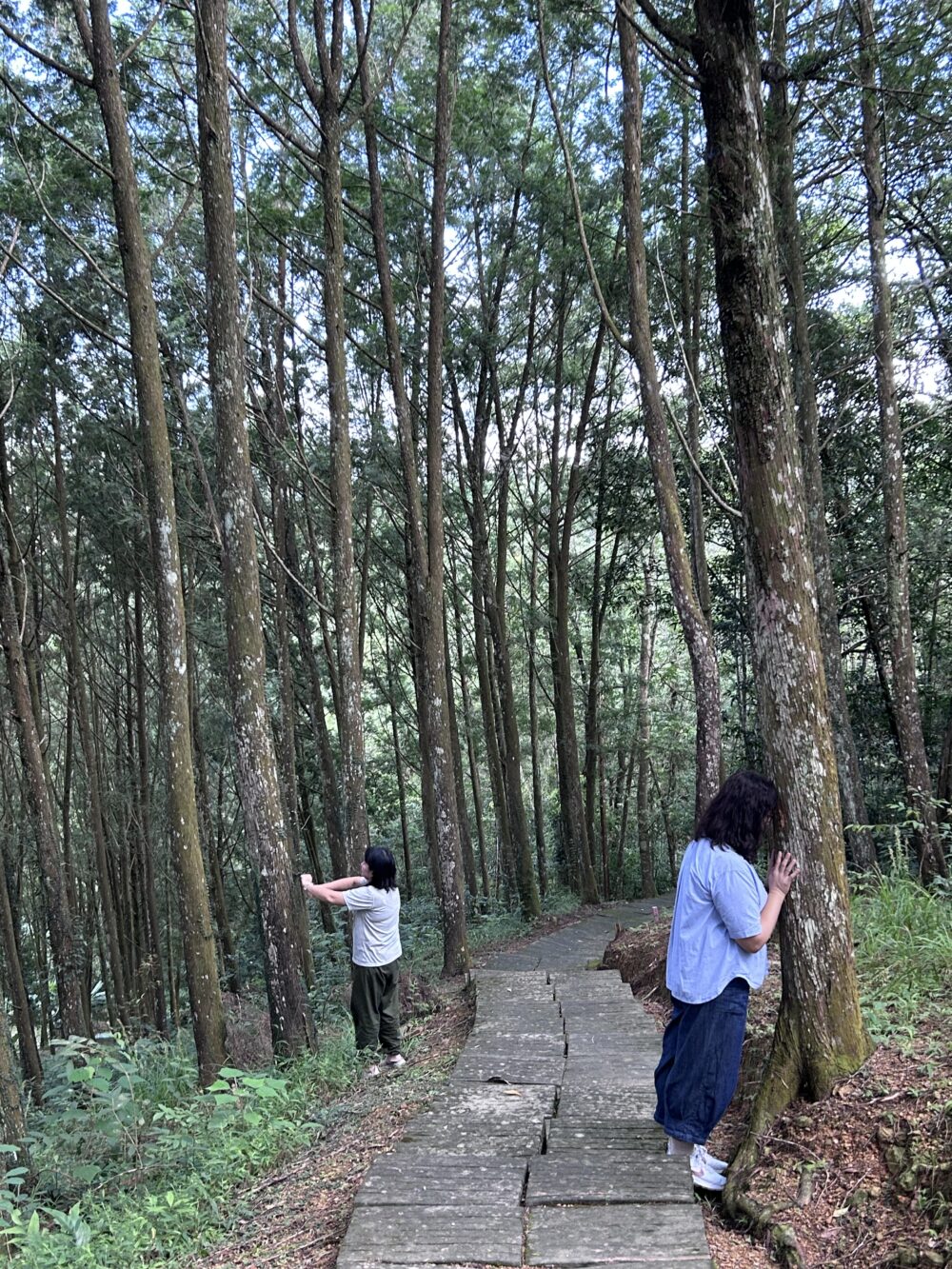 秋旅活動集錦12 回家團:秋收茶旅|回歸本我森林 Retreat
