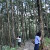 秋旅活動集錦12 回家團:秋收茶旅|回歸本我森林 Retreat